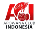 ACI